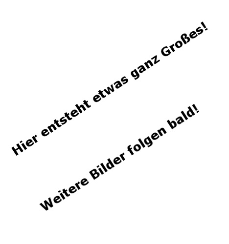 Wohnung oben links